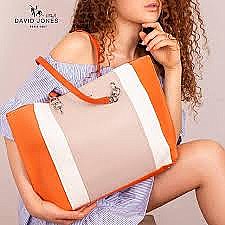 Large David Jones Color Block Tote Bag