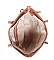 3 IN 1 STYLISH CHECKERED DESIGN SHOPPER BAG SET