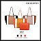 Large David Jones Color Block Tote Bag