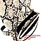 TWO WAY SNAKE PRINT FANNY PACK CROSS BODY