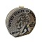 American Lucky Quarter Sparkling Rhinestone Textured Print