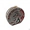 American Lucky Quarter Sparkling Rhinestone Textured Print