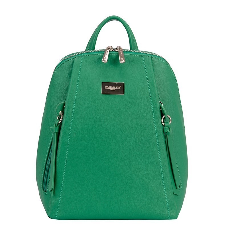 David Jones Backpack Green