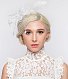 Wedding Hair Aceesories
