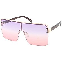 Pack of 12  Lined Tinted Fashion Sunglasses