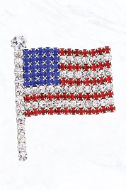 Wave American Flag Pin