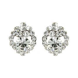 CHIC CRYSTAL STONE FLOWER EARRING SLERK0111