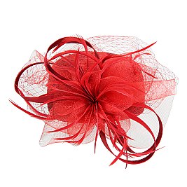 Pillbox Hat With Mesh and feather Netting