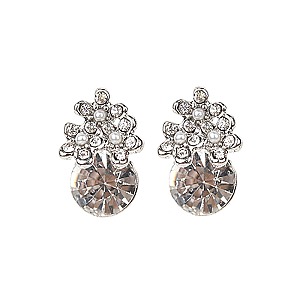 Trendy Round Stone with Cluster Stud Earrings SLEQ63
