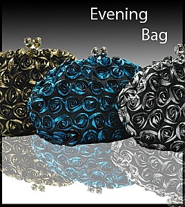 L-22 Evening Bag
