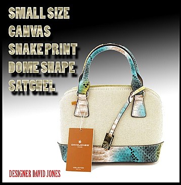 PETIT SIZE DAVID JONES CANVAS DOME SATCHEL