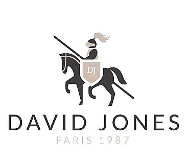 Original David Jones backpack