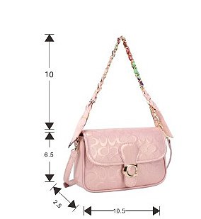 Oval Pattern Print Scarf with Chain Handle Crossbody Bag