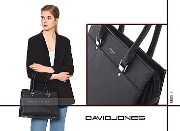 Triple Compartment David Jones Designer Handbag