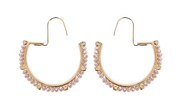 CHARMED OPEN HOOP FISH HOOK EARRINGS