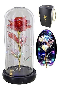 LITTLE PRINCE ROSE LED LIGHTS IN A GLASS AND GIFT BOX
