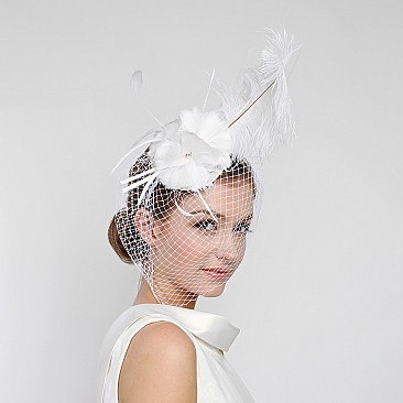 Fashionable Feather Headband W/long Feather