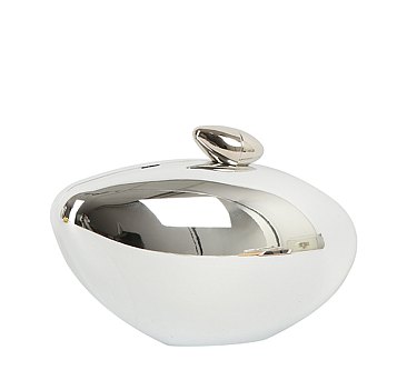 Acrylic Shell Shaped Clutch