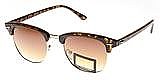 Pack of 12 Plastic Browline Sunglasses