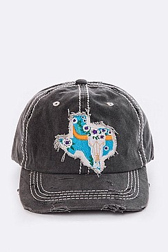 Texas Map Vintage Washed Cap LA-T13COW01