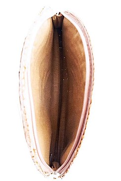 WOVEN NATURAL STRAW TACO CLUTCH