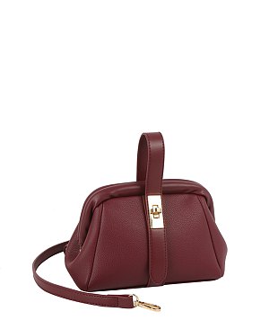 Fashion Frame Clutch Crossbody Bag