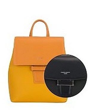 David Jones Fashionable Backpack