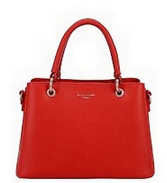 David Jones Fashionable Handbag