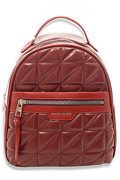 David Jones Paris Small BACKPACK