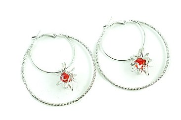 HOOP POST STONED EARRING