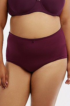 PACK OF 12 PIECES STYLISH MAXI/FULLBRIEF SEAMLESS PLUS SIZE PANTY MULP7439PRX5