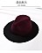 FASHIONABLE TWO TONE FEDORA HAT