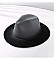 FASHIONABLE TWO TONE FEDORA HAT