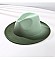 FASHIONABLE TWO TONE FEDORA HAT