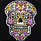 Vintage Sugar Skull Monogram Patch Embroidery Cap