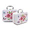 SET OF 2 COSMETIC CASES BUTTERFLIES PRINT RZ-CC00273