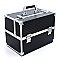 Makeup Train Case Professional Cosmetic Box