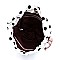 Fashion Laser Cut Mesh See Thru 2-in-1 Shopper