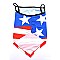 Pack of 12 US Flag Bandana Headwear Headwrap