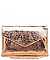 Bellini Envelope Shiloutette Clutch Urban Expressions JP41010