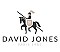 Original David Jones backpack