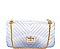 STYLISH TENDER JELLY CROSSBODY