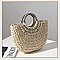 Shell Decor Straw Bag