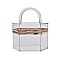 Hard Case Acrylic Mini TRANSPARENT CROSSBODY BAG