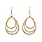 Trendy Layered Teardrop Fish Hook Earring SLE1550