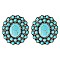 Glam Western Turquoise Flower Earrings