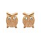 Fashioanble Sm Metal Owl Post Earring with Stone Eyes SLEE0497