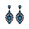 Fashionable Dangly Teardrop Gem Cluster Earrings SLEQ196