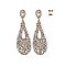 FASHIONABLE DANGLY STONE TEARDROP EARRING SLEQ243