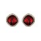 FASHIONABLE STONE POST EARRINGS